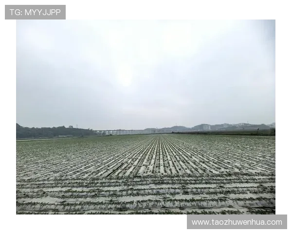 当山水开始作答三届户外大会激活云南绿水青山的生态与经济价值