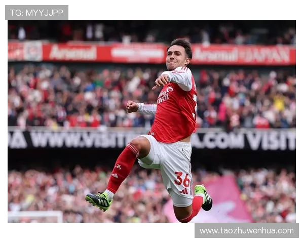 内维尔分析阿森纳未来发展赖斯难以替代球队核心目标是英超和欧冠